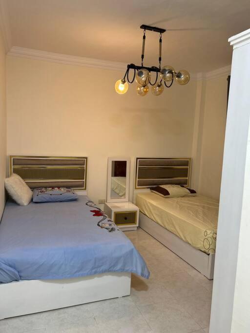 Gardenia , Nasr Apartamento El Cairo